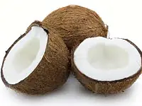 coconut - Master