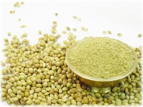 Coriander Powder 100g - Master