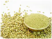 Coriander Powder 100g - Master