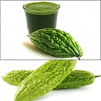 Karela Ras - Master