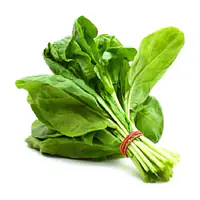 Fresh Spinach Per Kg. - Master