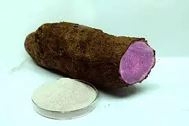 purple Yam Per kg. - Master