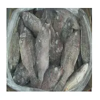 Black Pomfret 5/800 gm - Master