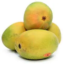 Mango Badami Big Box - Master