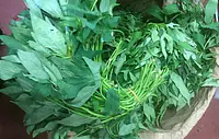 Bonifresh Ngai Ngai 500g - Master