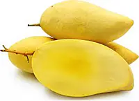 Mango Honey Rishabh Big - Master