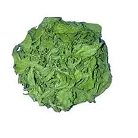 Leaves Per Kg. - Master