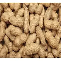 Peanuts Per Bag 10kg. - Master