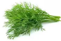 Dill - Master