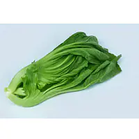 Kai Choi Per Kg. - Master