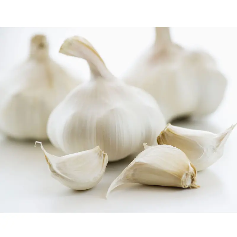 Garlic Per Box S - Master