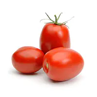 Tomato A Per Kg. - Master