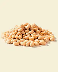 Cacahuettes Blanched 400g - Master