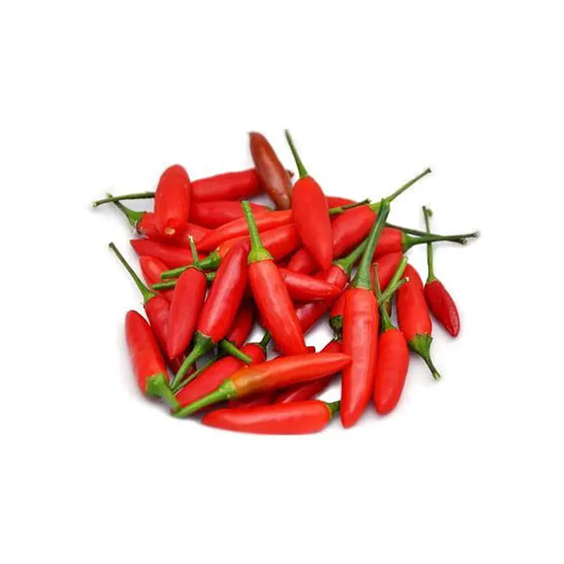 Birds Eye Chilly Per Kg. - Master