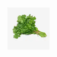 Coriander Maroc Per Pc. - Master