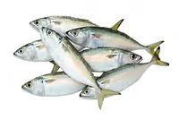 Mackerel Whole Per Kg - Master