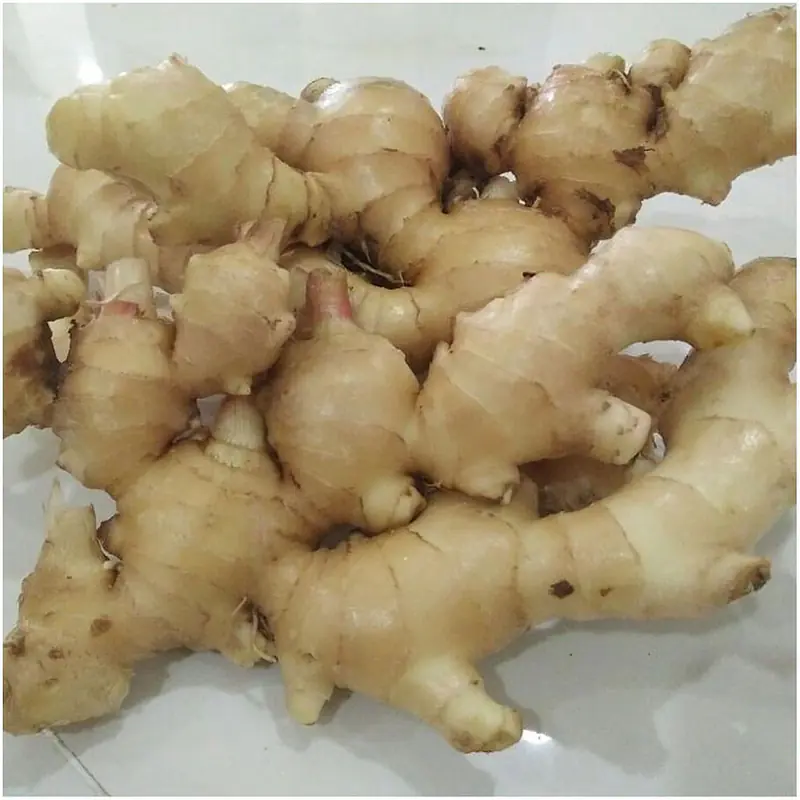 Ginger Per Box 13kgs. S - Master