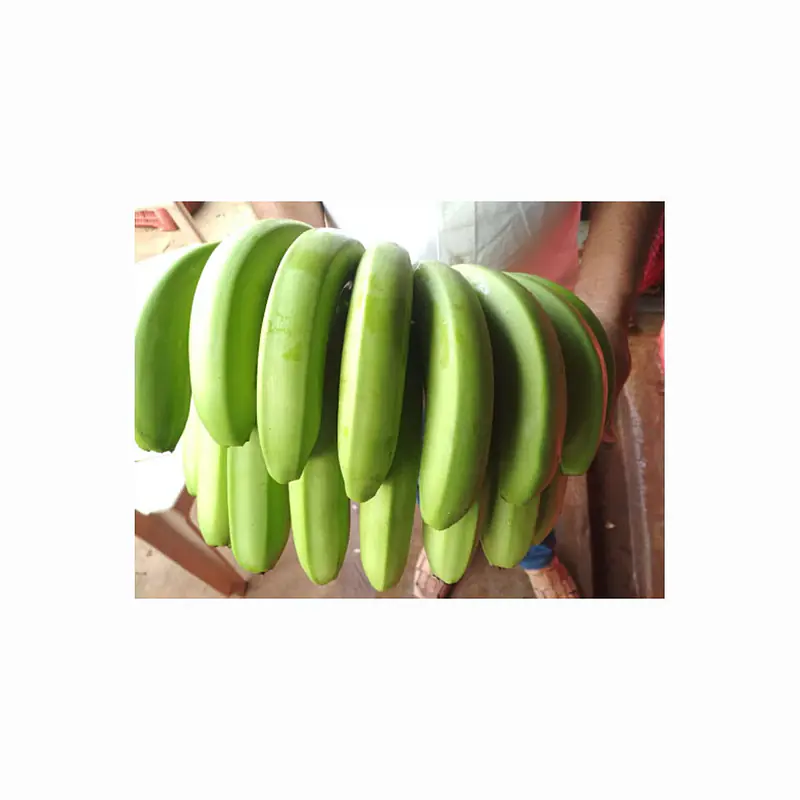 Green Plantain Per Box - Master