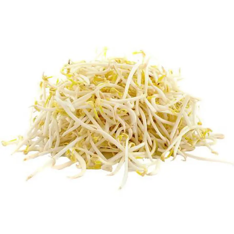 Bean Sprouts per pkt - Master