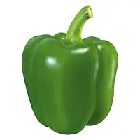 Paprika Green Per Kg. - Master
