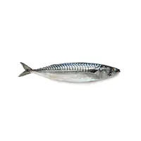 Smoked Mackerel Per kG. - Master