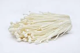 Enoki Mushrooms Per Pkt- - Master