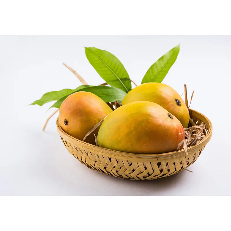 Mango Alphonso Saachi Per Box - Master