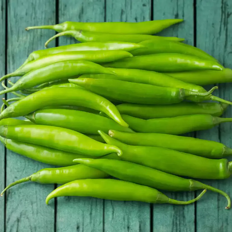 Big Green Chilly Per Kg S - Master