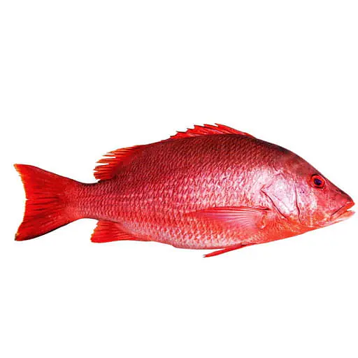 Red Snapper 300-500g Per Kg. - Master