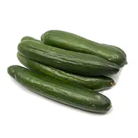 Small Cucumber Per Kg. - Master