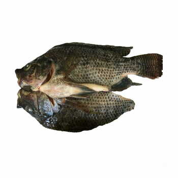 Tilapia Per Kg 800+ As