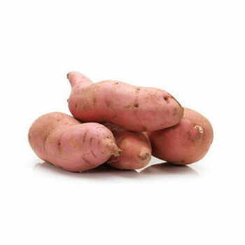 Red sweet potato per kilo