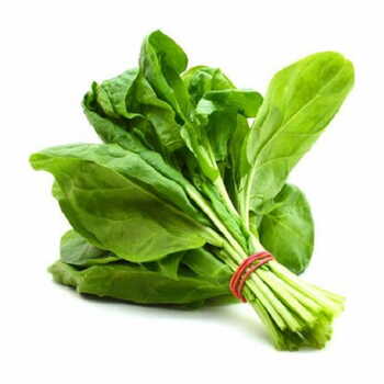 Fresh Spinach Per Kg.