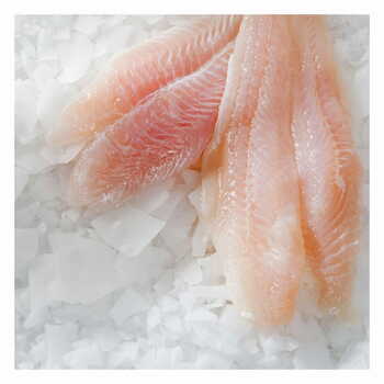 Pangasius Fish Fillet 10x1 Kg.