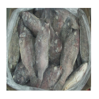 Black Pomfret 5/800 gm