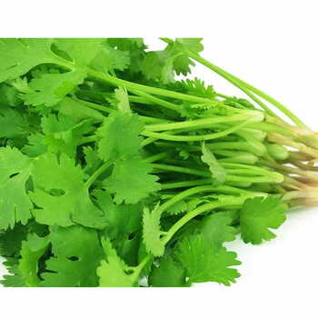 Coriander Per Box