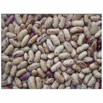 Boniland White Kidney Beans 900g