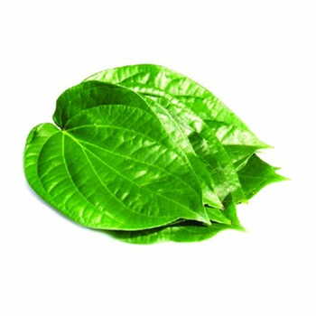 Paan Leaves per kg.