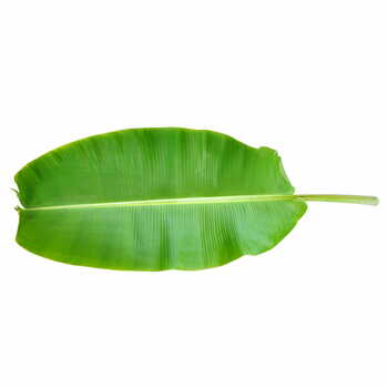 Banana leaves per pc.