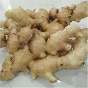 Ginger Per Box 13kgs. S