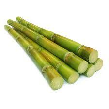 Sugarcane Per Kg.