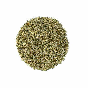 Kaman Bajra seeds 1kg