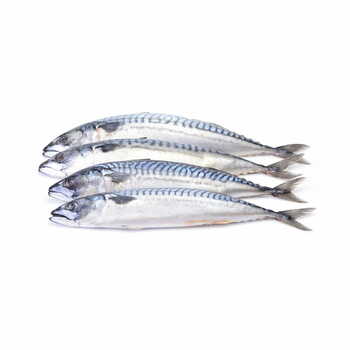 Mackerel Per Box 20kg.