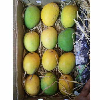 Mango Kesar Sri Per Box