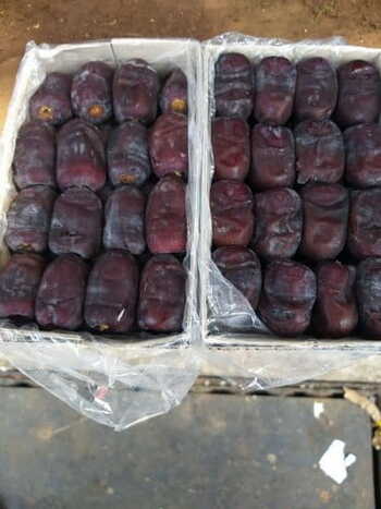 Fresh Dates Per Kg.