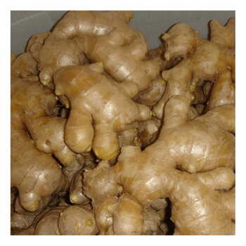 Ginger Per Box 10kgs. Mas