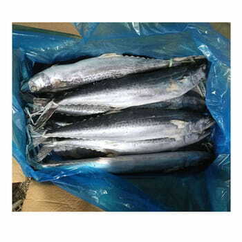 Kingfish 400-700g Per Kg.