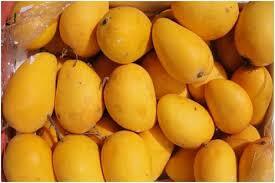 Honey Mangoes India