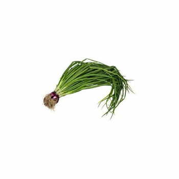 Spring Onion Per Bundle