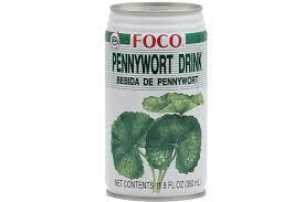 Foco Pennywort Drink